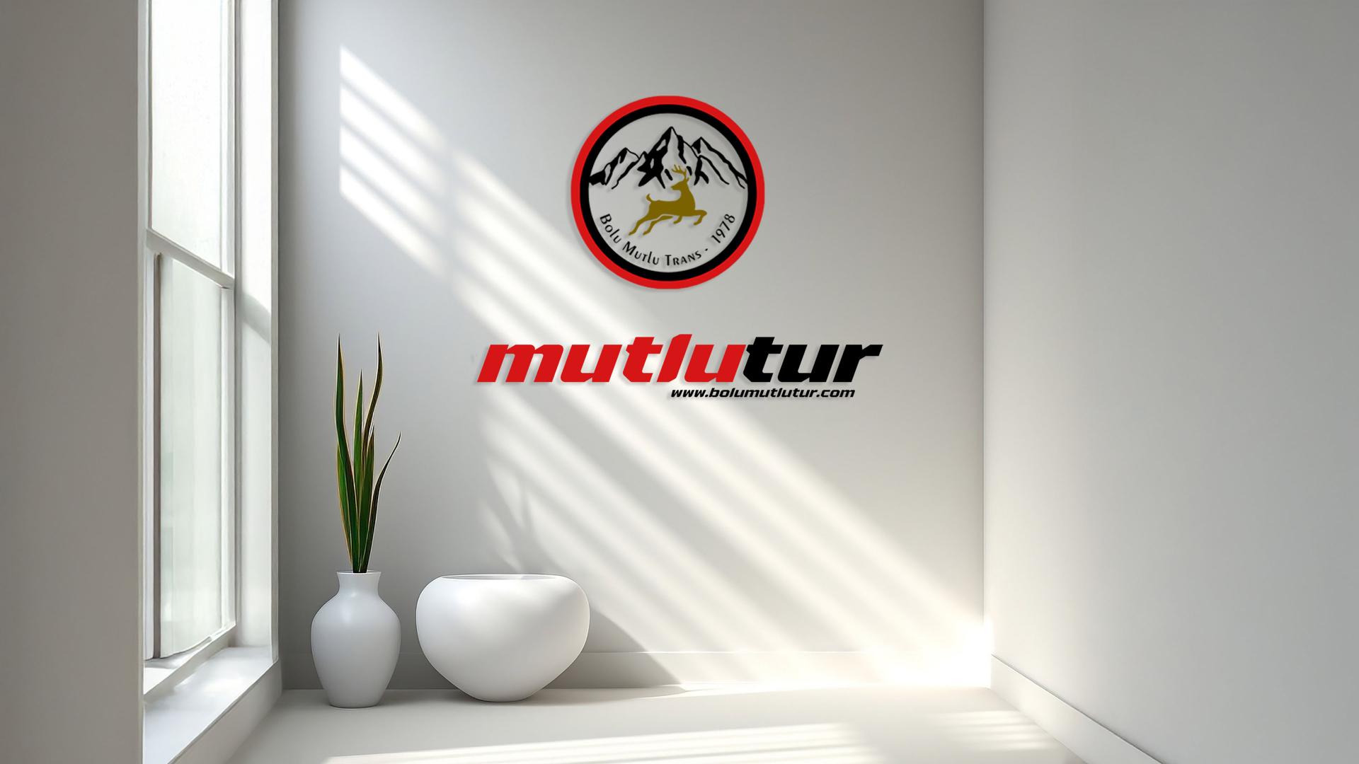 Mutlu Grup iştirakleri ile yerel deneyimi uluslararası hizmet anlayışıyla buluşturuyoruz.